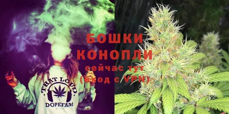 что такое наркотик  Котовск  Канабис White Widow 